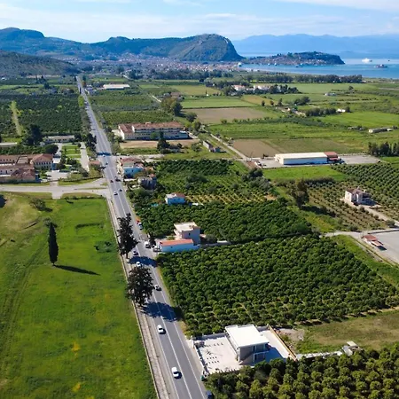 Antaia 1